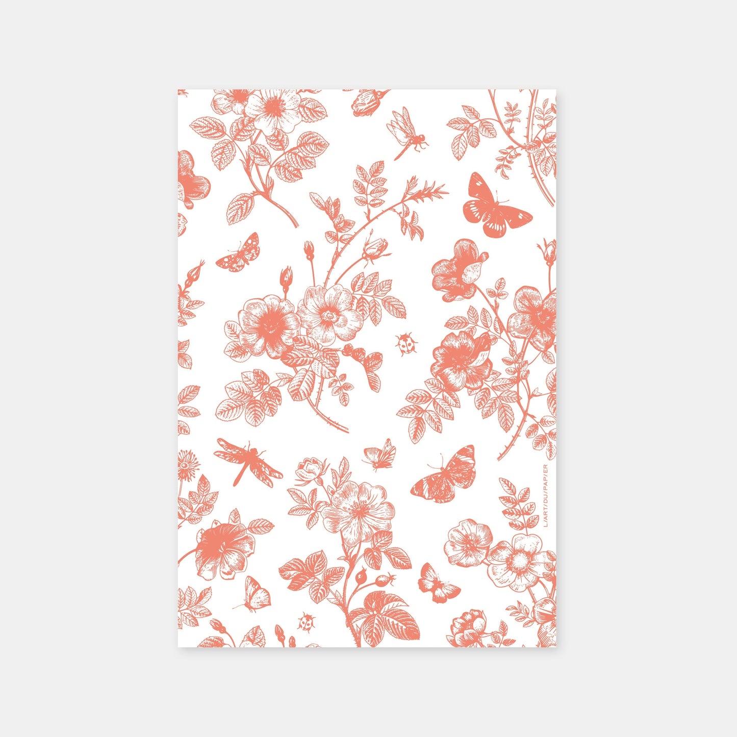 Corail