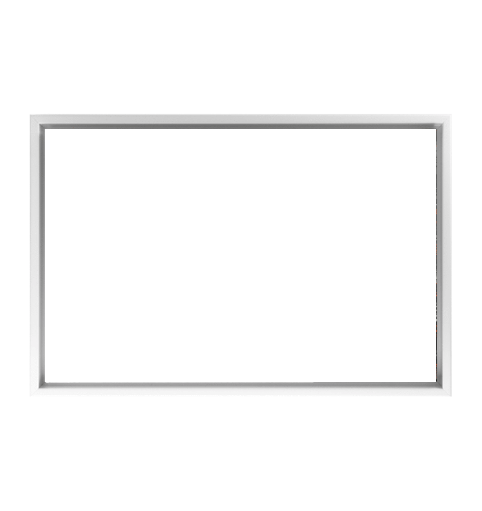 Sample Canvas