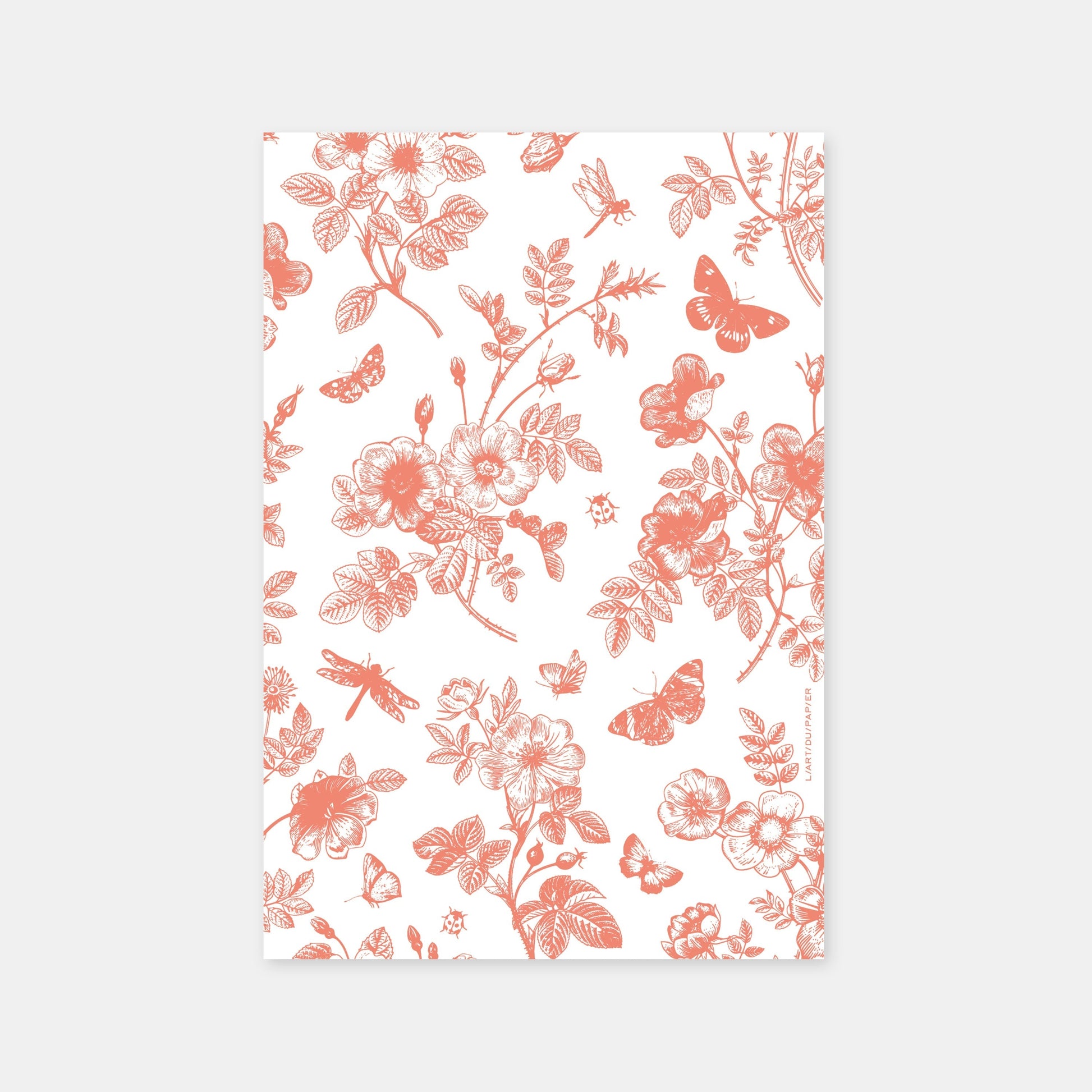 Corail